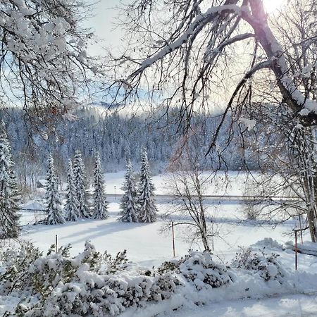 Appartement Wieser Ramsau am Dachstein Esterno foto